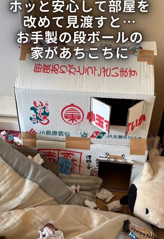 部屋の中にはお手製の段ボールの家がおあちこちに…大切にされていたよう(「ワンハート大阪」さん提供、Instagramよりキャプチャ撮影)