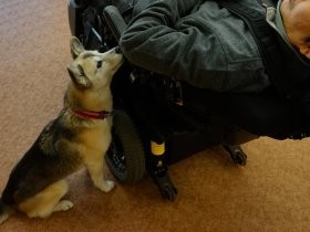 寄り添い暮らした介助犬　そのペットロスから救ったのも犬だった