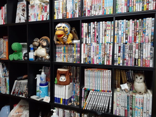 本棚にはぎっしりとマンガ本