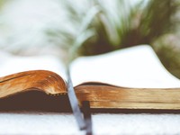 【厳選】夫の裏切りの後に芽生えた「覚悟」、理想のお嫁さんの先にあった「現実」…夢の結婚生活は？2‌月に読まれたエッセイ