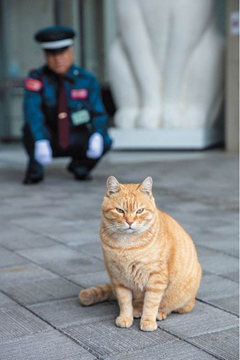 次の作戦を練るゴッちゃん