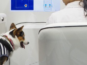 未来の車、ペットもより安全に　車内放置の警告システムお披露目