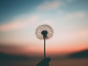 知識欲を存分に満たす夏。大学で真の学びを得た先には、輝く私へ