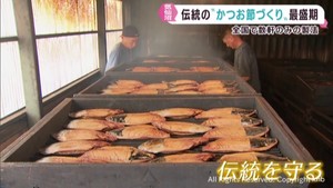 かつお節づくりが最盛期　伝統製法を守る　宮城・気仙沼市