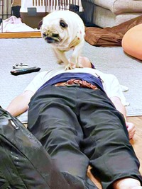 向きを変えてさらにタップダンスを続けるモナカちゃん（画像提供：KaKoAさん）