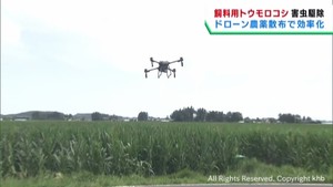 国内栽培の実証実験　飼料用トウモロコシにドローンで農薬散布　宮城・大崎市