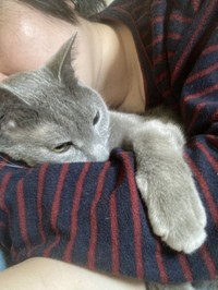 相思相愛の甘えタイム