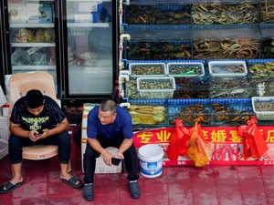 中国が踏み切った日本の水産物禁輸、狙いはどこに？繰り返される手法の先にある懸念