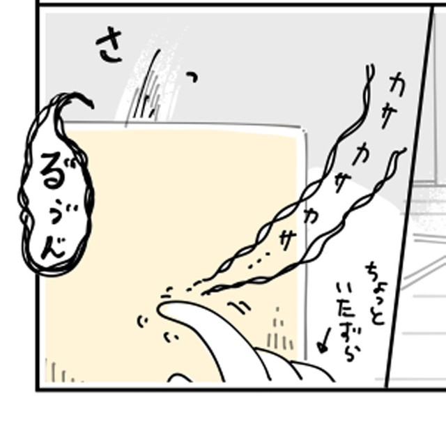 箱の中で不思議がっているかな？（提供：キュルZさん）