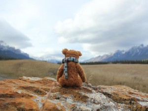 苦楽を共にしたぬいぐるみに留守を任せ、大人の私は広い世界へ