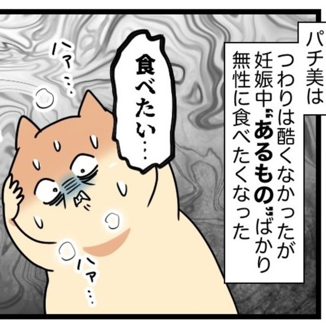 妊娠中に食の好みに変化が（パチ美さん提供）