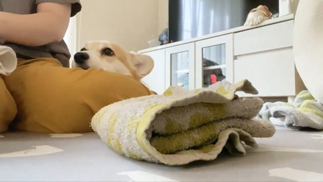 微動だにしません…（画像提供：ばなななさん）