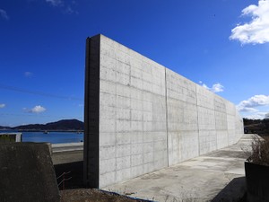 半年議論、防潮堤をやめた　当事者が考える「復興とは」