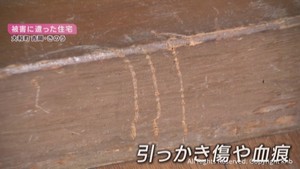 クマが住宅に侵入　警戒が続く　宮城・大和町