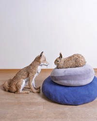 見つめ合う様子にキュン！