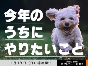 【アマギフ対象】「今年のうちにやりたいこと」でエッセイ募集！11月19日（日）締切