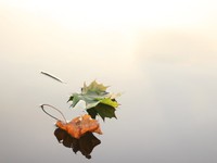 恋愛はタイミングが全て。引越しの2ヶ月前に近づいた彼との距離