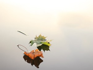 「私、この一年何してたんだろう」。その時流れてきたのを必死で掴んだ一言