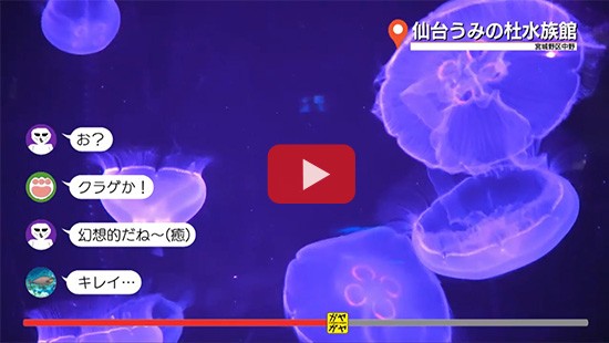 #96うみの杜水族館④