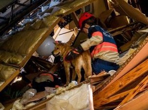 ペット「同行避難」のため大型テントを提供　熊本地震
