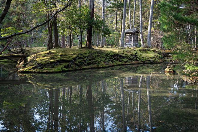 At ‘Moss Temple,’ Kyoto’s natural beauty trumps housing profits