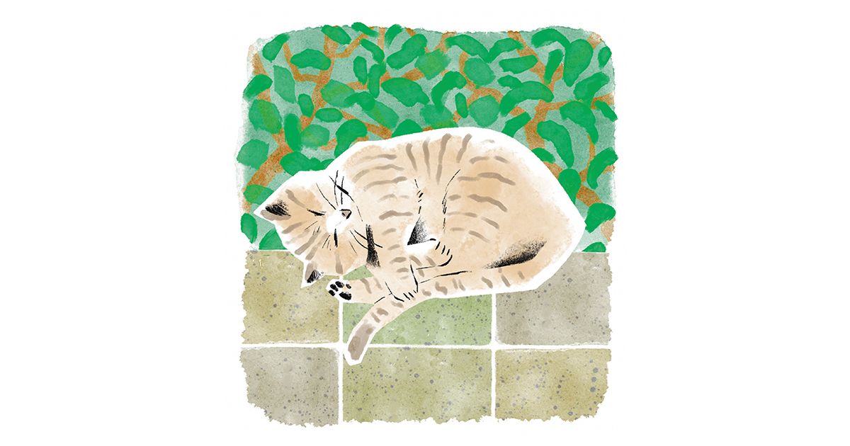 猫の居るイラスト　秘密基地でのんびり のんびり無防備「路地ネコ」 青来有一｜好書好日