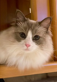 ママ撮影ののあくん。投稿の右写真（「のあこはくLavie」さん提供）