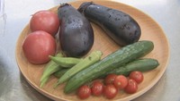 「夏野菜はなぜ色の濃いものが多いの？」