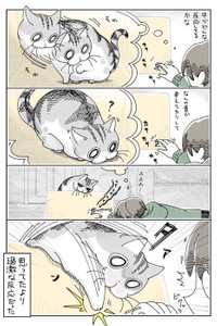 【漫画】「箱の中のネコの様子」（提供：キュルZさん）