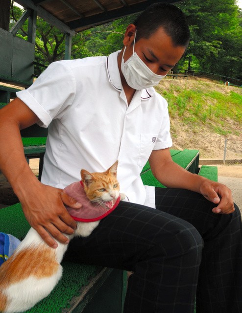 ねこ吉をなでる敦賀気比の大島正樹主将=2021年6月28日午後4時42分、福井県敦賀市沓見、柳川迅撮影