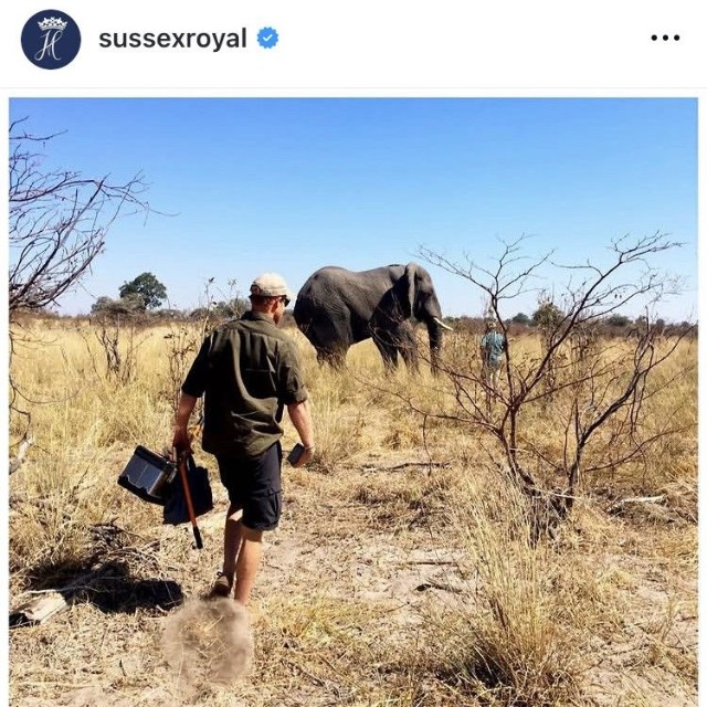 ヘンリー王子のインスタグラム＠sussexroyalより