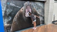 昨年は「環境水族館」アクアマリンふくしま（福島県）へ／ふくろうさん（@fukuroLvMAX）提供