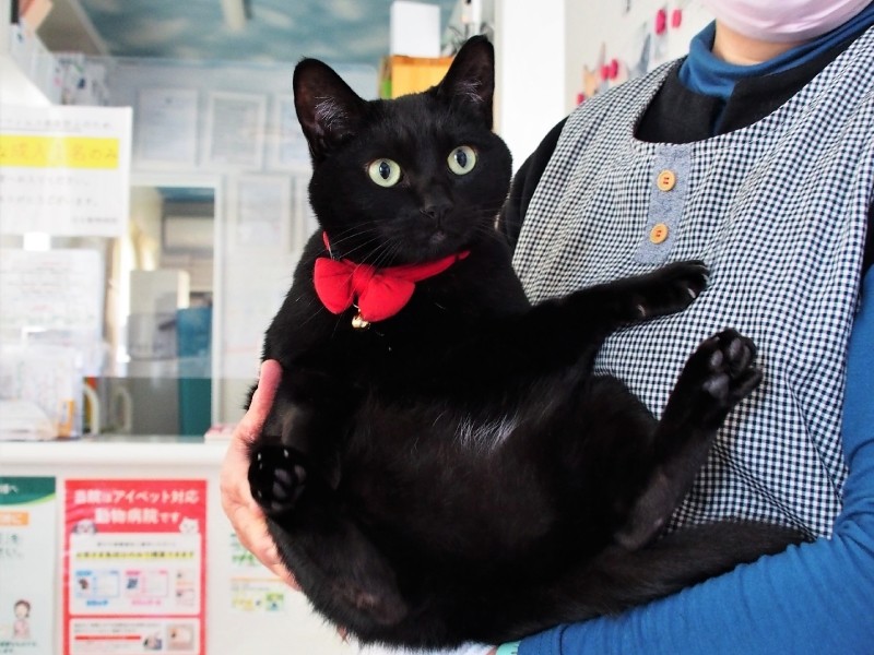 のあちゃんは、かなりのおてんばさん