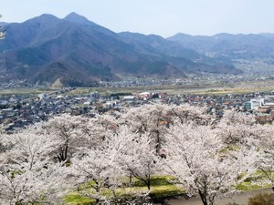 土地活用は田舎でもできる？ 成功させるポイントと注意点を解説‌