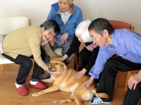 セラピードッグの派遣広がる　病院や施設で犬とふれあい