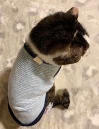 下半身麻痺で排泄介助が必要なため、ジルさんのお家で集中治療中の優太くん（提供：ジルさん）