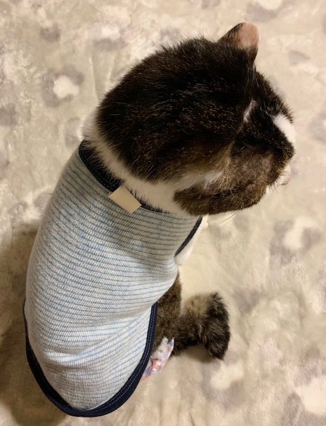 下半身麻痺で排泄介助が必要なため、ジルさんのお家で集中治療中の優太くん（提供：ジルさん）