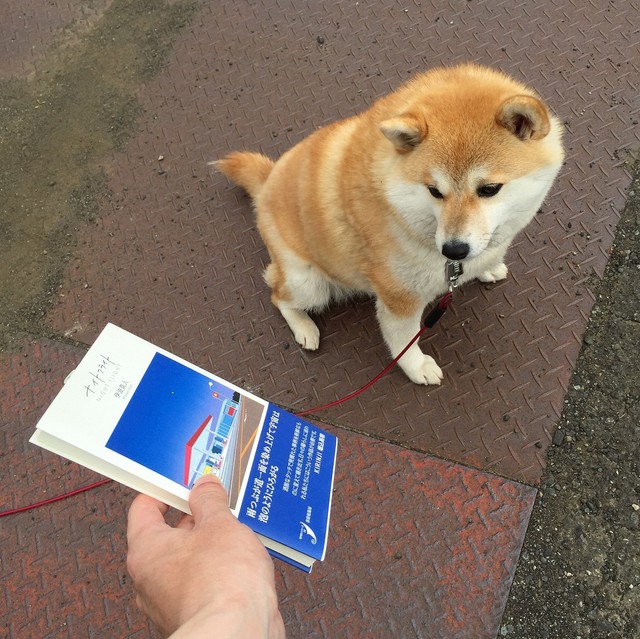 伊波さんの歌集を見つめるこっこちゃん（画像提供／伊波真人さん）