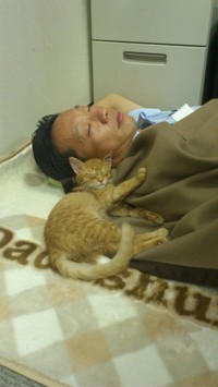 赤松社長とチャトラン副社長が仲良くお昼寝（画像提供：三協精器）