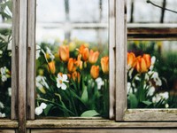 彼との恋が教えてくれた三つのこと。この恋をきっと忘れない