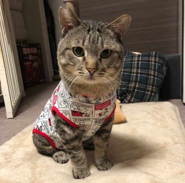 4度の手術を乗り越えた大ちゃん