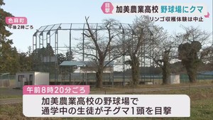 宮城・加美農業高校の野球場にクマ　宮城県がクマが身を潜めやす河川のやぶを刈り払い
