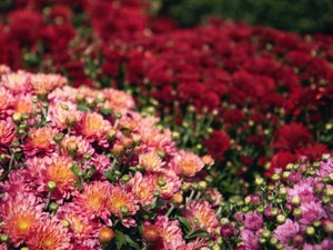 27歳の半年間を休むのは、誰でも焦りを感じるだろう。だけど