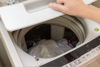 （木村　亨/stock.adobe.com）※画像はイメージです