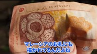 マレーシアの現地のお札にも描かれているというラフレシア。