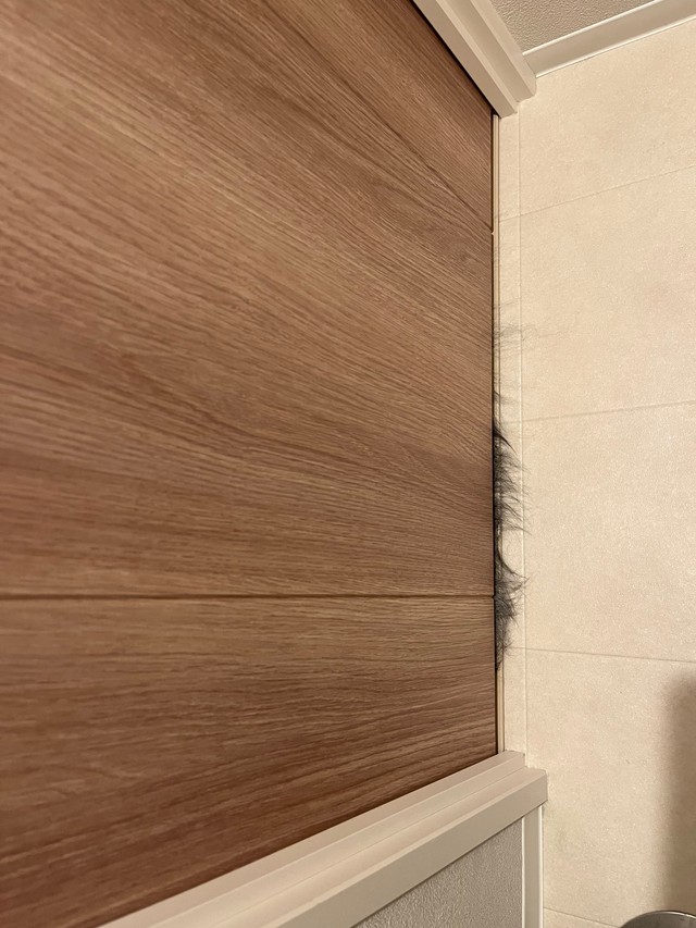 トイレの扉越しに愛犬の毛が…！？（画像提供：シャロかわさん）