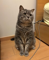 大きくなりました！（画像提供：りんくんとおとちゃん）