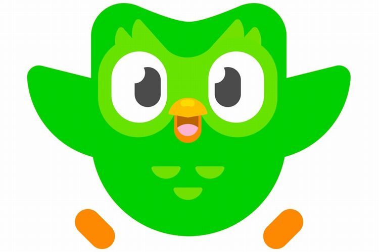 フクロウのDuo