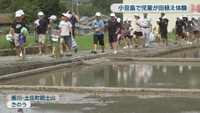 香川･土庄町肥土山 17日