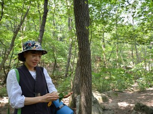 韓国、森の周りのマンションが高騰